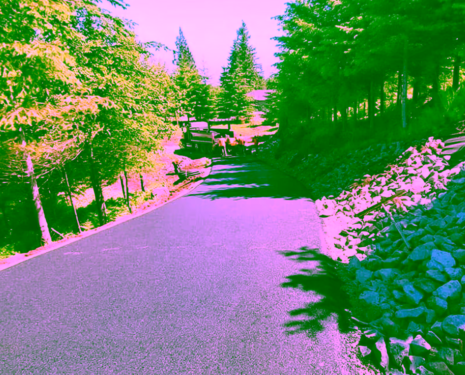 Tar and Chip Paving